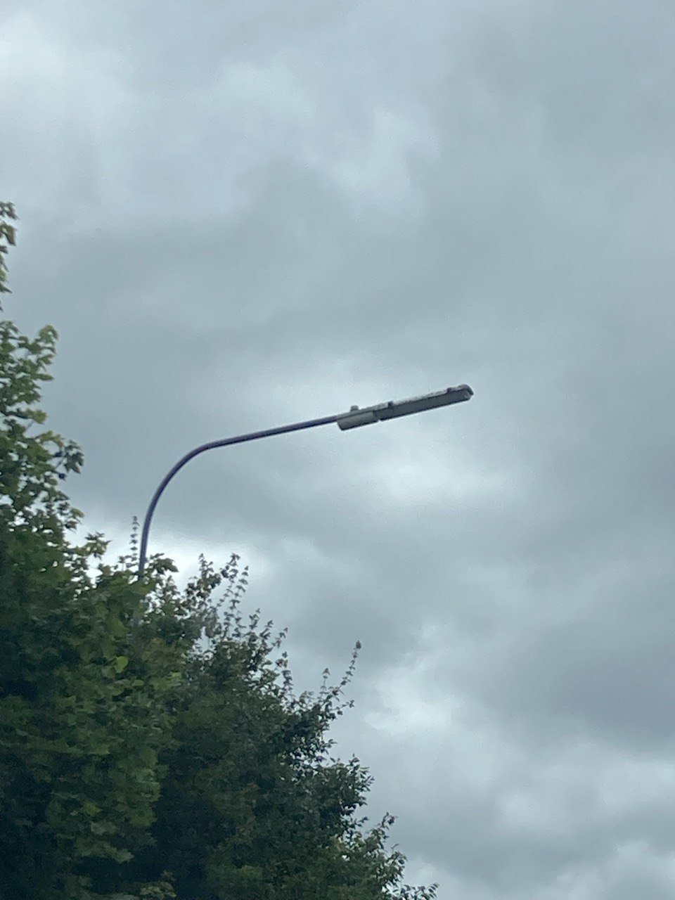 Alpha 4 on column